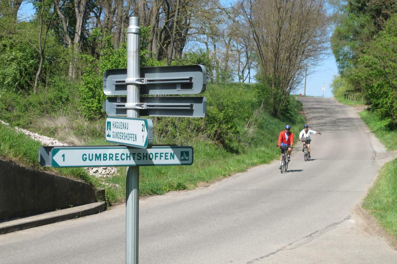 Gites Du Tilleul Gumbrechtshoffen Exterior photo